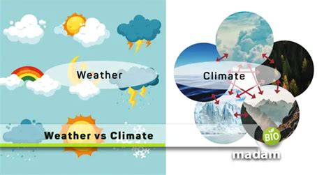 永豐明天什麼天氣？且談天氣與經濟的微妙關係